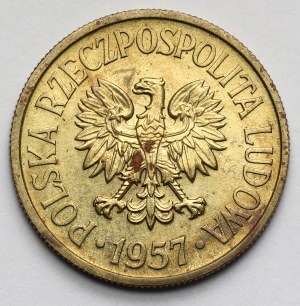 Vzorek mosazných 50 haléřů 1957
