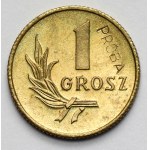 Zobacz podobne