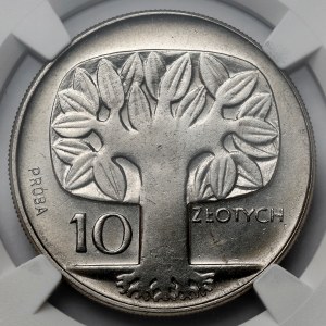 Próba NIKIEL 10 złotych 1964 Drzewo