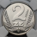 Zobacz podobne