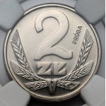 Zobacz podobne