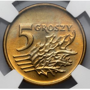 5 groszy 1993