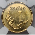 Zobacz podobne