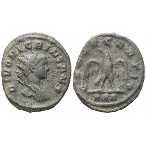 Divus Nigrinianus (died c. 284), Antoninianus struck under Carus, Rome, 284-285; BI (3,31 g; 22,2 mm; 6 h)