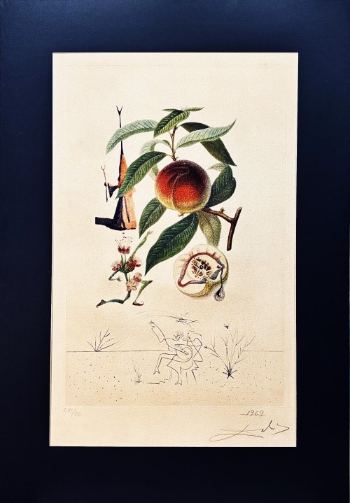 Salvador DALI (1904-1989), Flordali, Pécheur Pénitent (Skruszona Brzoskwinia) 1969