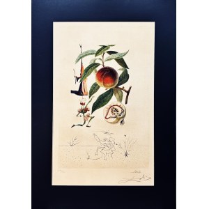 Salvador DALI (1904-1989), Flordali, Pécheur Pénitent (Skruszona Brzoskwinia) 1969