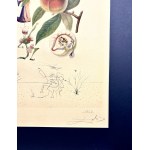 Salvador DALI (1904-1989), Flordali, Pécheur Pénitent (Skruszona Brzoskwinia) 1969