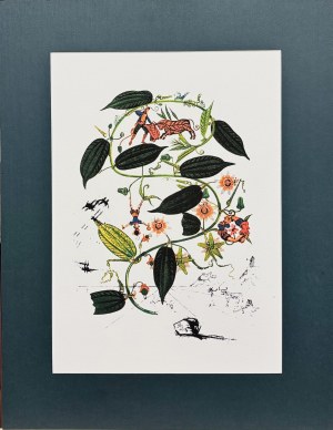 Salvador Dalí (1904-1989), Flordali: Passiflora Laurigera