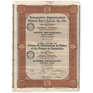 Gesellschaft der Rohr- und Eisenwerke Sosnowiec, 100 zl 1929
