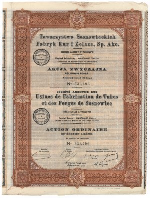 Gesellschaft der Rohr- und Eisenwerke Sosnowiec, 100 zl 1929