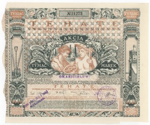 TEHATE Tow. for Trade, Industry and Agriculture in Warsaw, 1,000 mkp 1920