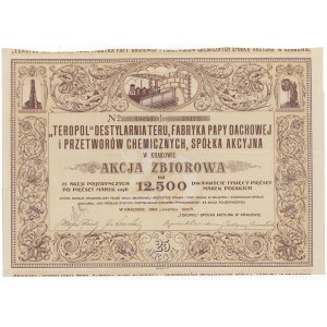 TEROPOL Destylarnia Teru, Fabryka Papy Dachowej..., 25x 500 mkp 1922