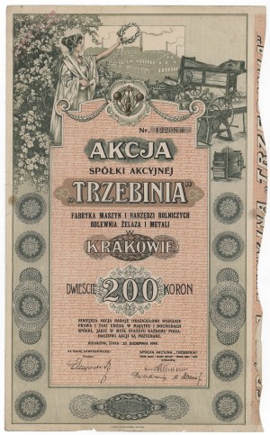 Usine de machines et d'outils agricoles Fonderie de fer et de métal TRZEBINIA, 200 kr 1919