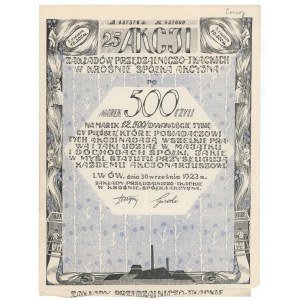 Zakłady Przędzalniczo-Tkackie w Krośnie, Em.5, 25x 500 mkp 1923