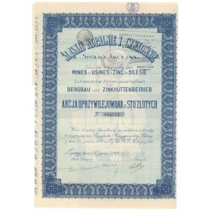Schlesische Bergwerke und Verzinkereien, 100 PLN 1924 - Vorzugsaktie