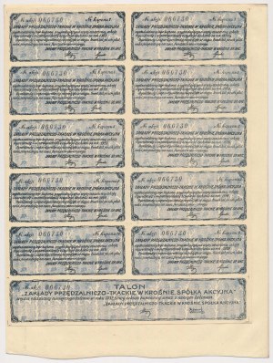 Spinnerei und Weberei Krosno, Em.1, 500 mkp 1921 - hellblau