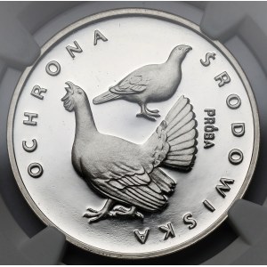 Próba SREBRO 100 złotych 1980 Głuszce