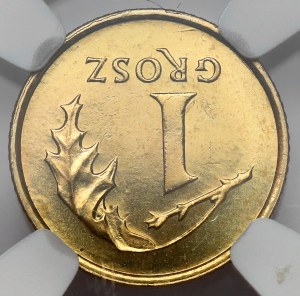Destruct 1 penny 2005 - REFLECT