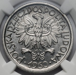 2 Bacche d'oro 1960