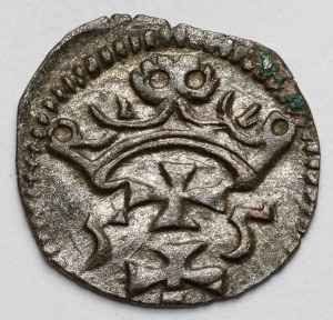 Sigismund II Augustus, Denar Gdansk 1555