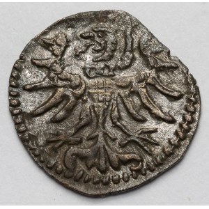 Zygmunt II August, Denar Gdańsk 1555