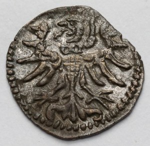 Sigismund II Augustus, Denar Gdansk 1555