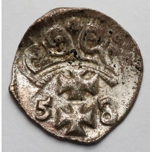Zygmunt II August, Denar Gdańsk 1558 - ostatni