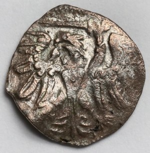 Sigismondo II Augusto, Denar Danzica 1558 - ultimo