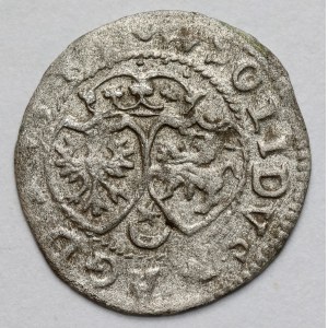 Stefan Batory, Shelagh Vilnius 1581? - STEPA