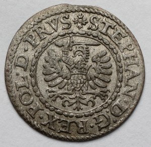 Stefan Batory, Shelagh Danzica 1579