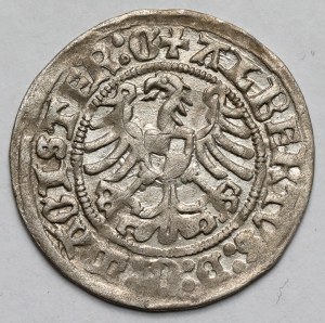 Zakon Krzyżacki, Albrecht Hohenzollern, Grosz Królewiec 1513 - PIĘKNY add