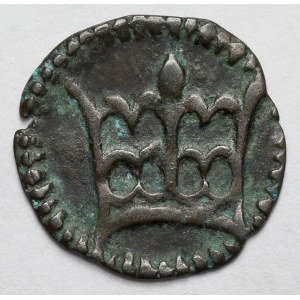 Ladislao III Varna, Denario di Cracovia