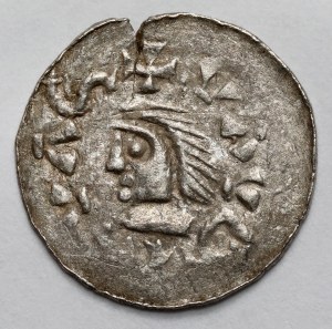 Wladyslaw Herman, Denario - ritratto del tipo JEJOZWIERZ con doppio dritto al rovescio