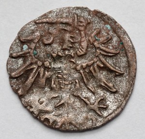 Sigismund II Augustus, Denarius of Gdansk 1550