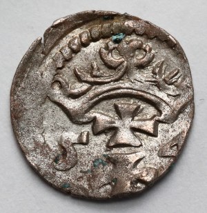 Sigismondo II Augusto, Denar Danzica 1554