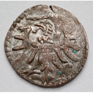 Zygmunt II August, Denar Gdańsk 1554