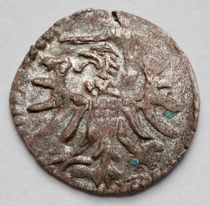 Sigismondo II Augusto, Denar Danzica 1554