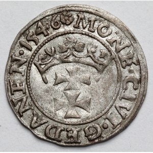 Zygmunt I Stary, Szeląg Gdańsk 1546
