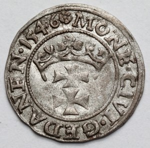 Sigismund I the Old, Szeląg Gdansk 1546
