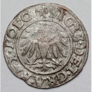 Zygmunt I Stary, Szeląg Gdańsk 1539