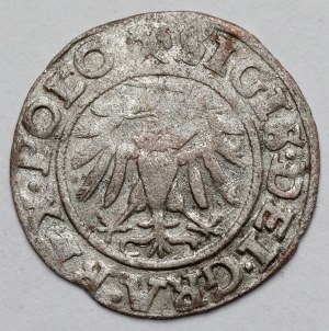 Sigismund I the Old, Shelag Gdansk 1539
