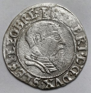 Silesia, Frederick II, Penny 1543, Legnica - in armor