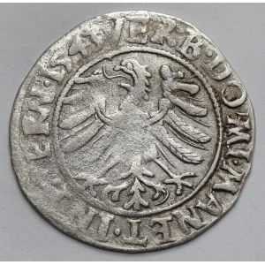 Śląsk, Fryderyk II, Grosz 1543, Legnica - w zbroi