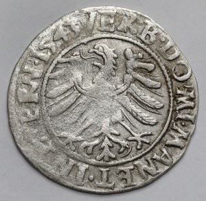 Silesia, Frederick II, Penny 1543, Legnica - in armor