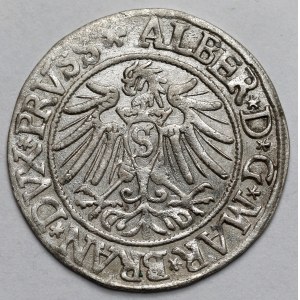 Prussia, Albrecht Hohenzollern, Grosz Königsberg 1537