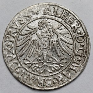 Prussia, Albrecht Hohenzollern, Grosz Königsberg 1537