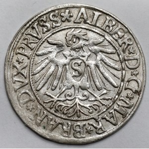 Prussia, Albrecht Hohenzollern, Grosz Königsberg 1538