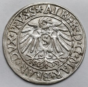 Prussia, Albrecht Hohenzollern, Grosz Königsberg 1538