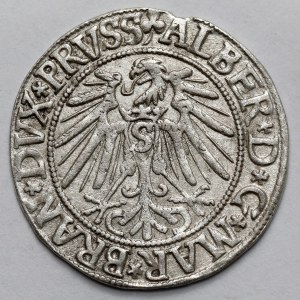Prussia, Albrecht Hohenzollern, Grosz Königsberg 1543
