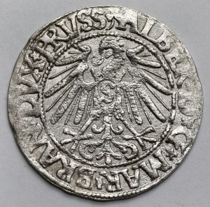 Prussia, Albrecht Hohenzollern, Grosz Königsberg 1545